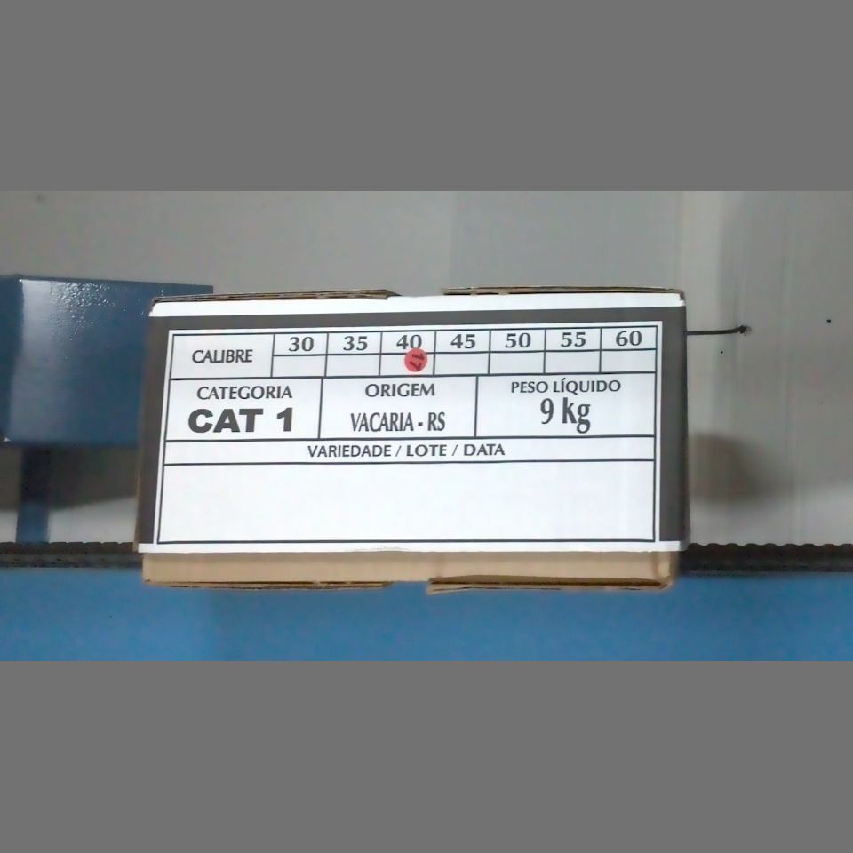 Candidata do calibre · central · 960 utilizado na inferência