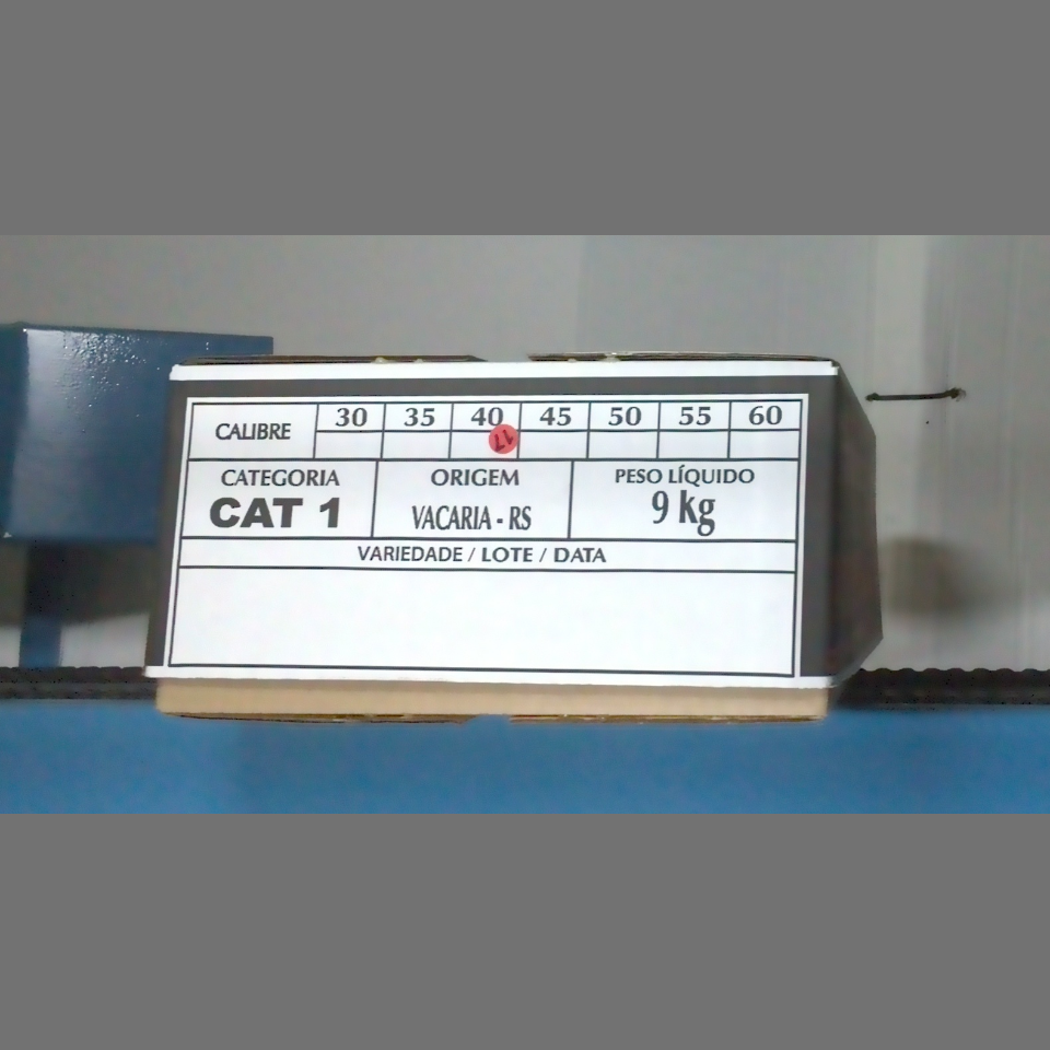 Candidata do calibre · central · 960 utilizado na inferência