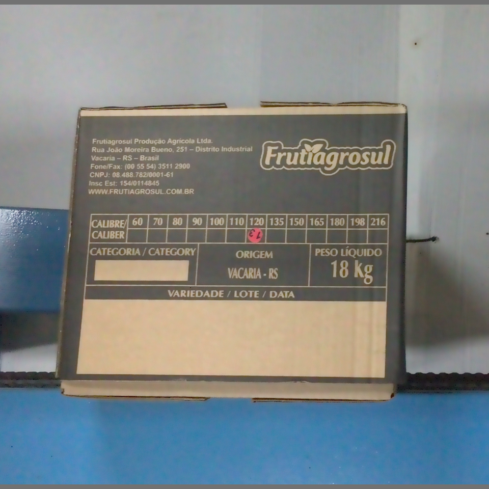 Candidata do calibre · central · 960 utilizado na inferência