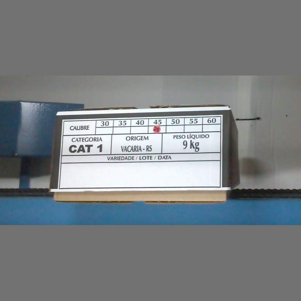 Candidata do calibre · central · 960 utilizado na inferência