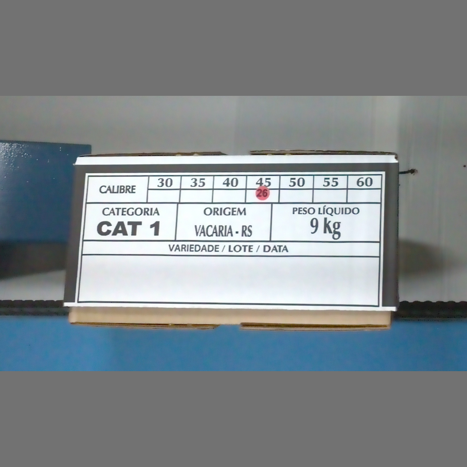 Candidata do calibre · central · 960 utilizado na inferência