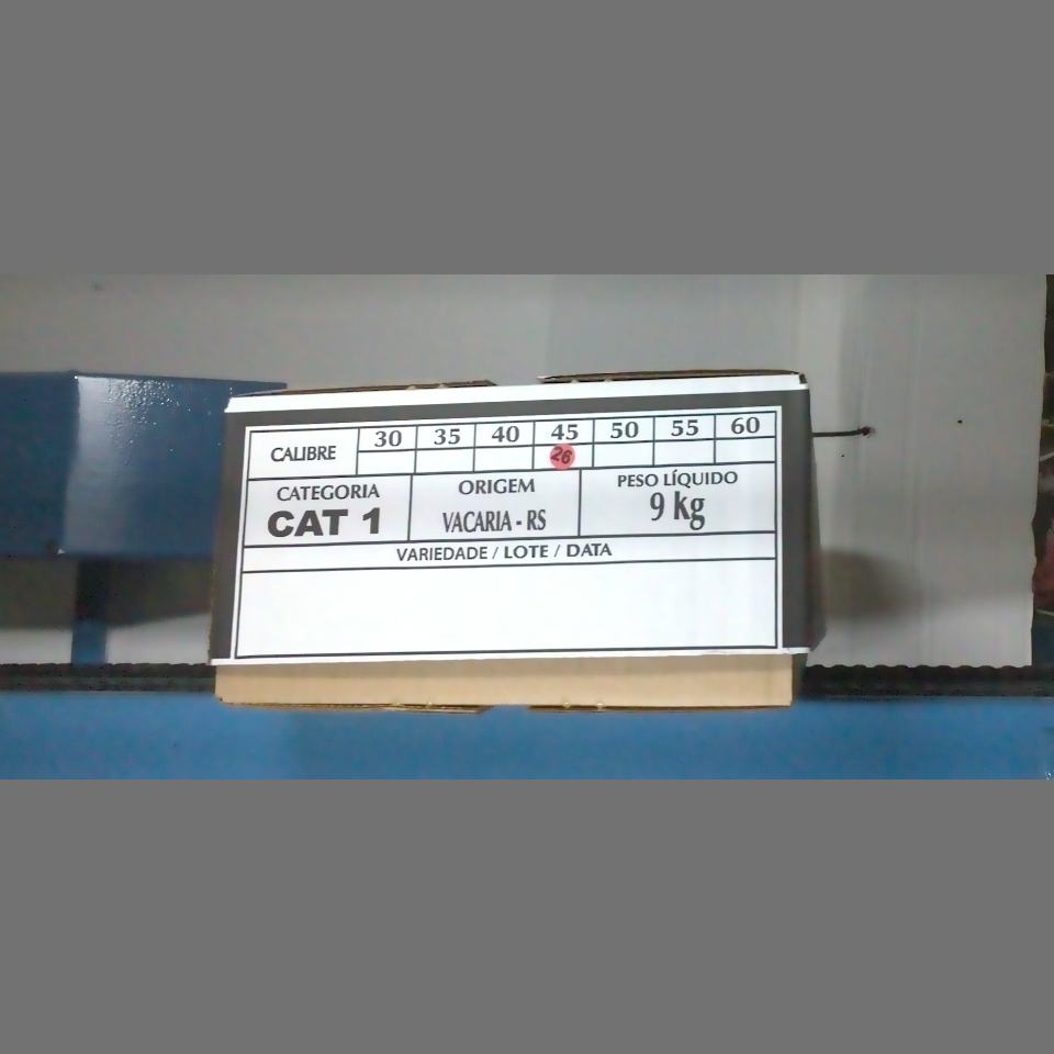 Candidata do calibre · central · 960 utilizado na inferência