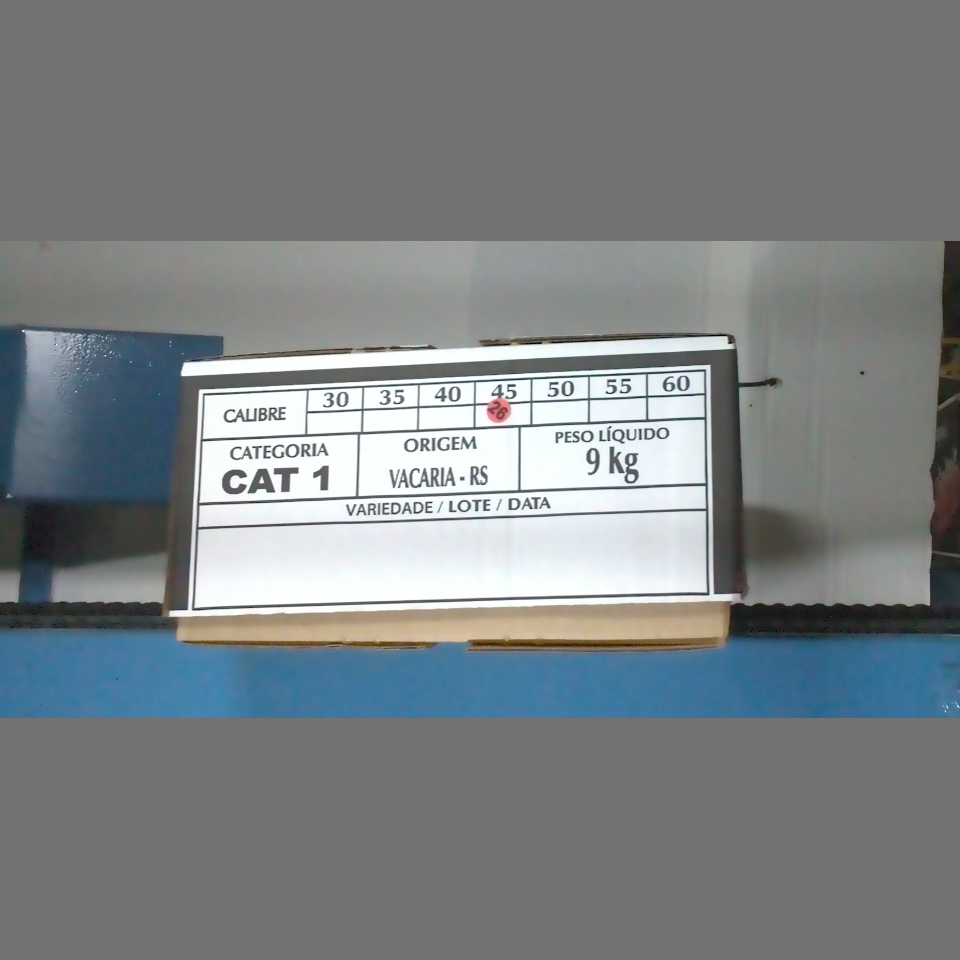 Candidata do calibre · central · 960 utilizado na inferência