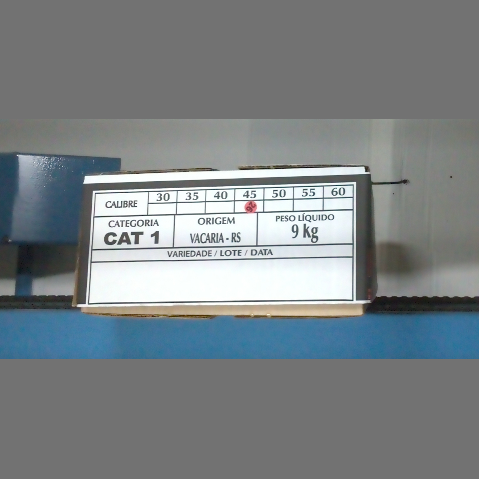Candidata do calibre · central · 960 utilizado na inferência
