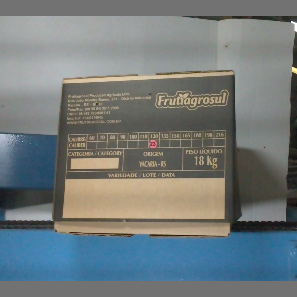 Candidata do calibre · central · 960 utilizado na inferência