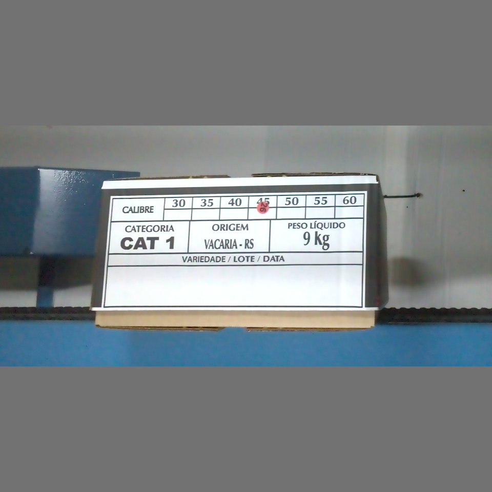 Candidata do calibre · central · 960 utilizado na inferência