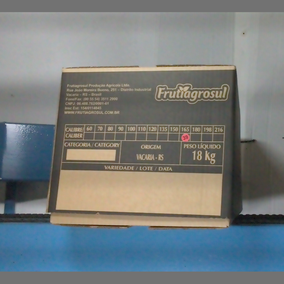 Candidata do calibre · central · 960 utilizado na inferência