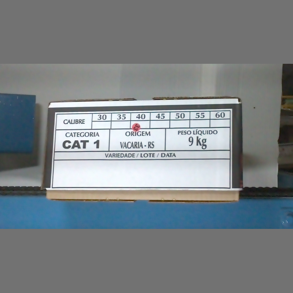 Candidata do calibre · central · 960 utilizado na inferência