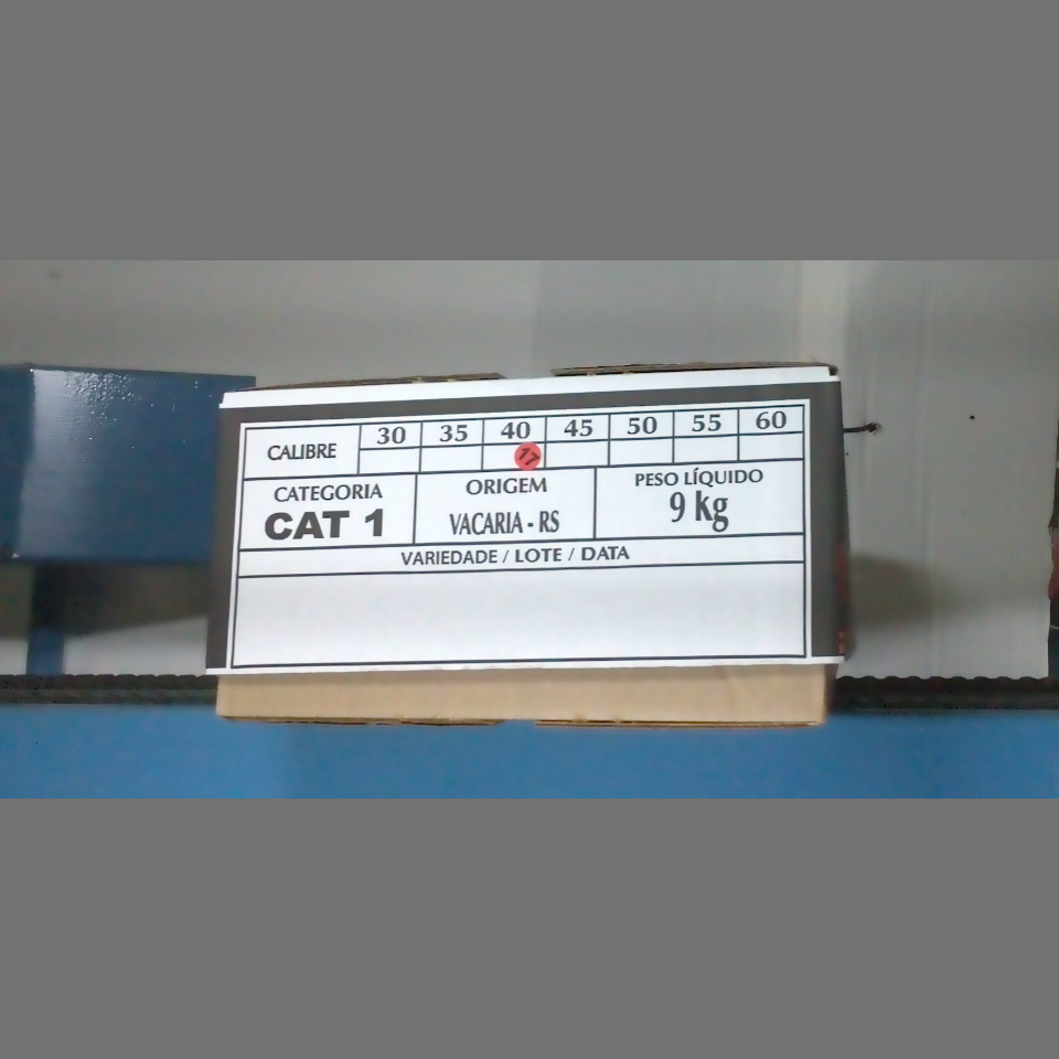 Candidata do calibre · central · 960 utilizado na inferência