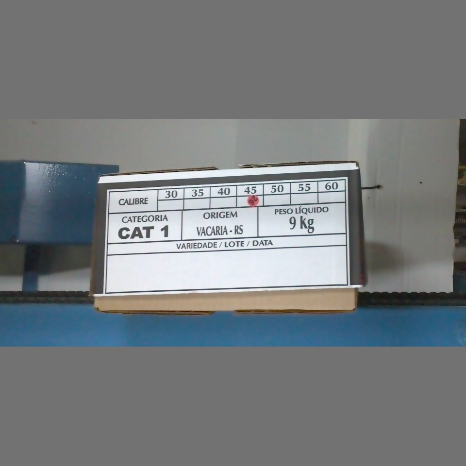 Candidata do calibre · central · 960 utilizado na inferência