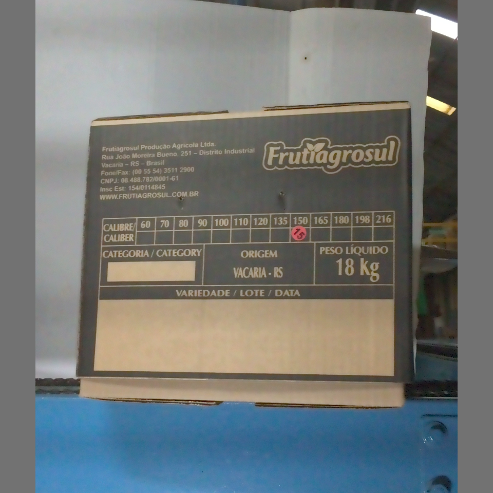 Candidata do calibre · central · 960 utilizado na inferência