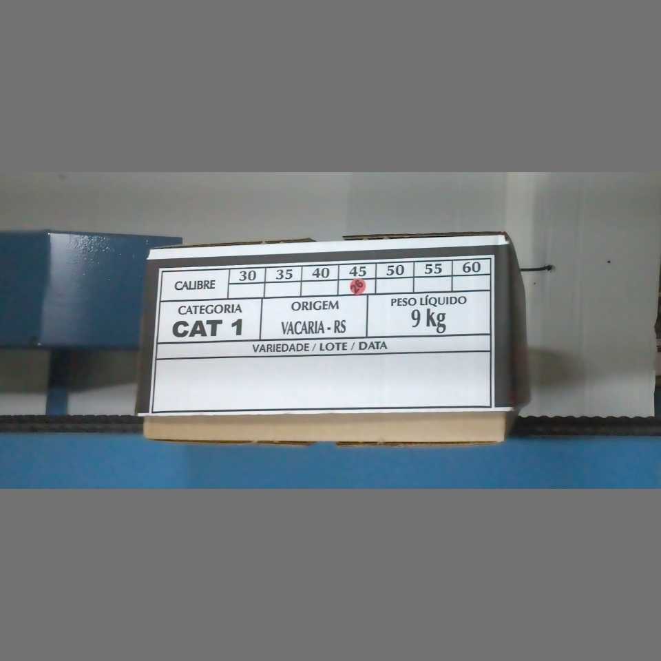 Candidata do calibre · central · 960 utilizado na inferência