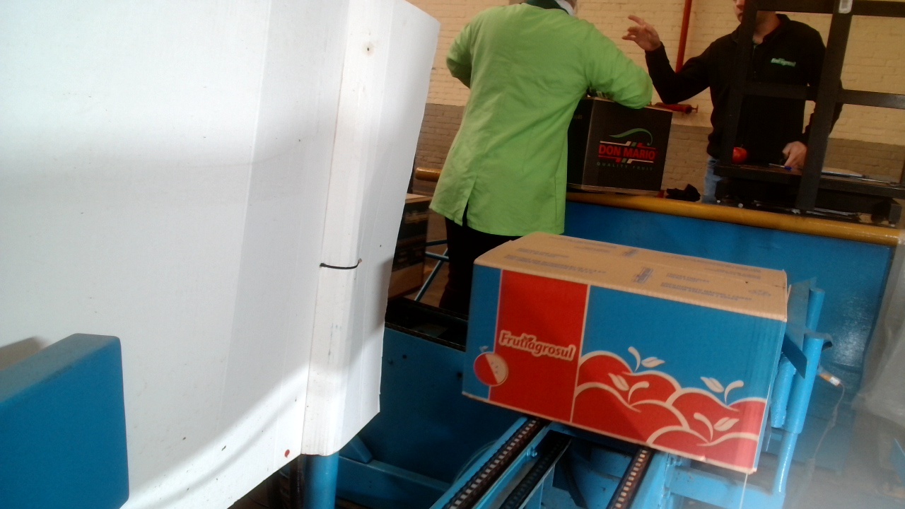 Lateral de saída utilizado na inferência
